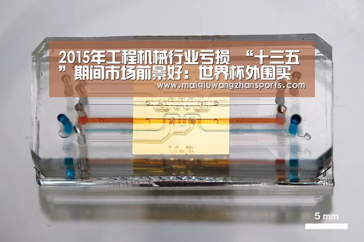 世界杯买球网站官网