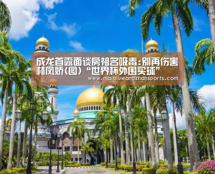 世界杯买球网站官网