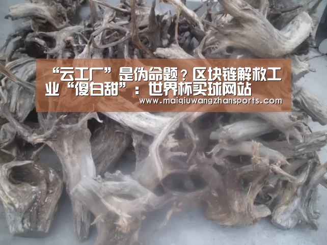 世界杯投注