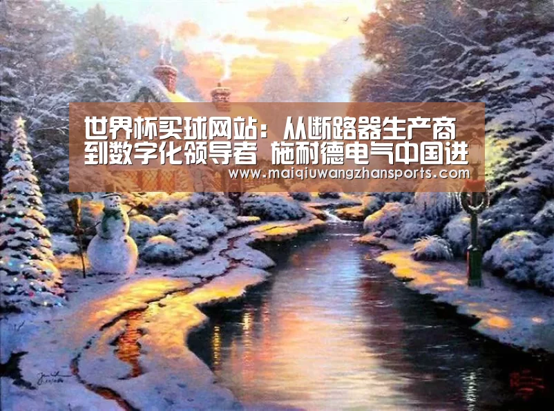 世界杯买球网站：从断路器生产商到数字化领导者 施耐德电气中国