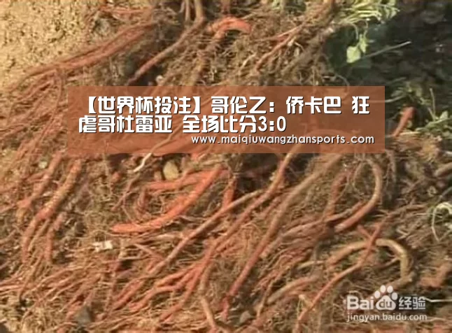 【世界杯投注】哥伦乙: 侨卡巴 狂虐哥杜雷亚 全场比分3:0