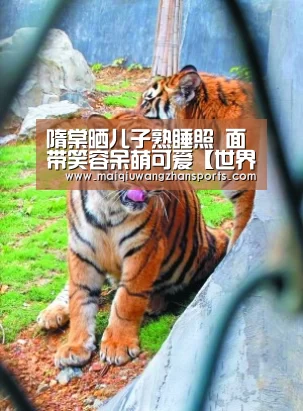 隋棠晒儿子熟睡照 面带笑容呆萌可爱【世界杯外围买球】