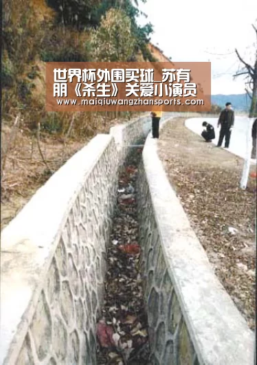 世界杯投注
