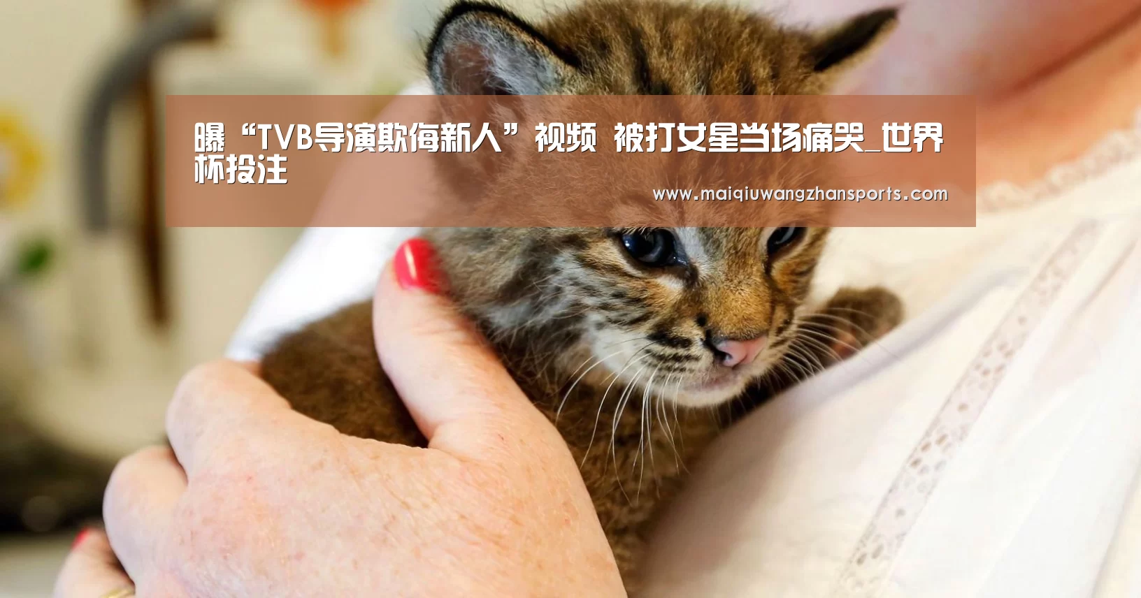 世界杯买球网站官网
