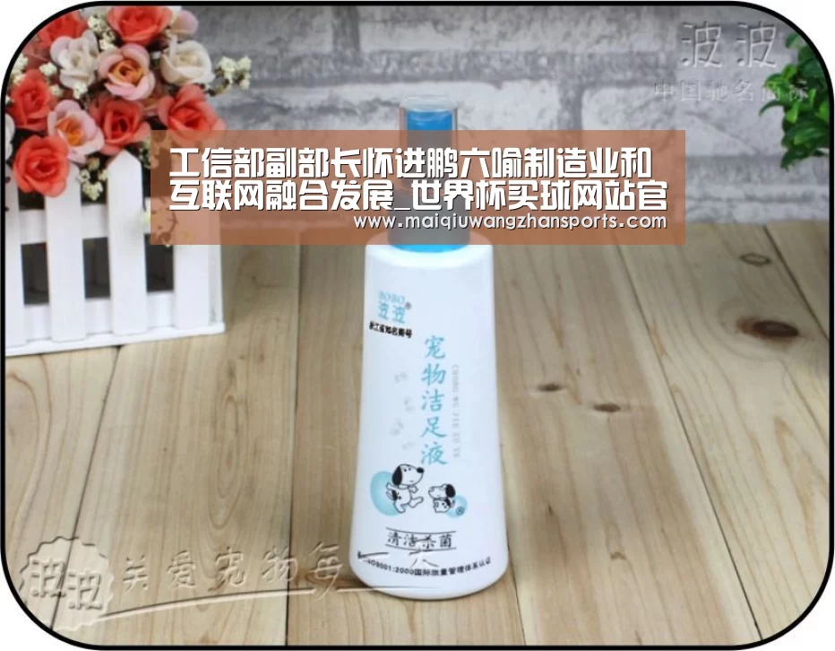 世界杯买球网站官网